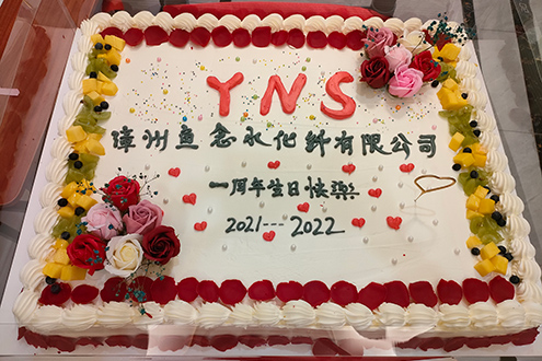 Celebrating the First Anniversary of YNS